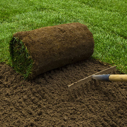 Horticulture & Landscaping Service